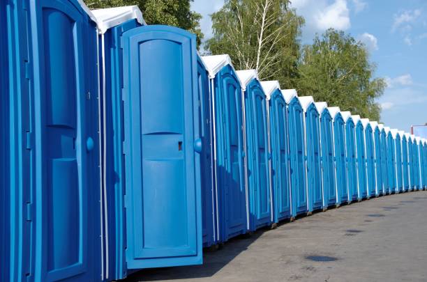 Best High-end porta potty rental  in Necedah, WI